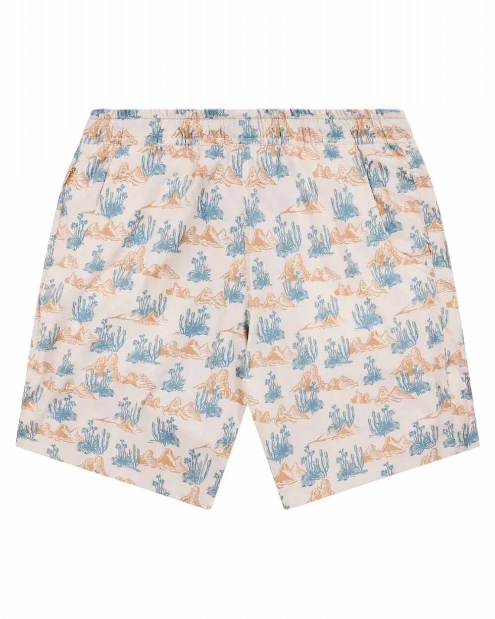 NEW TEXAS STANDARD men's waterloo swim shorts in softbrush